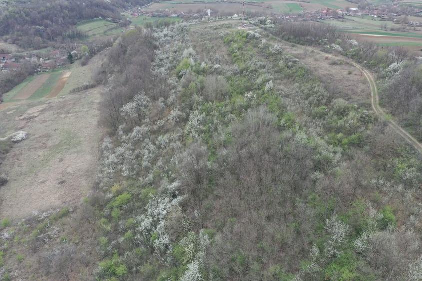 Teren 8114 mp lupoaia holod livada cf+topo acces auto aproape de sat - 5
