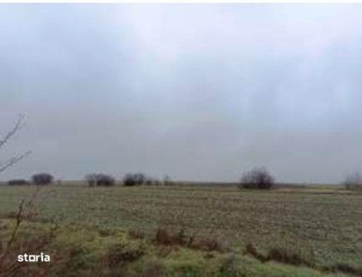 Teren extravilan cota parte 1/5 Murfatlar, ID: R2982571 - 3