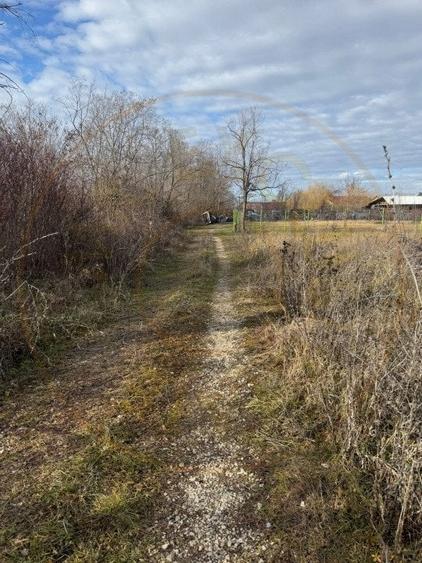 Comision 0 - Teren intravilan Prundu - Bananai - 2939 mp - 1