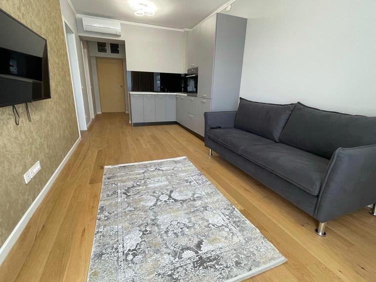 Apartament nou cu 2 camere de inchiriat in Aviatiei Park - 2