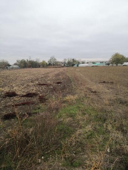 Magurele 1500mp langa padure, utilitati - 4