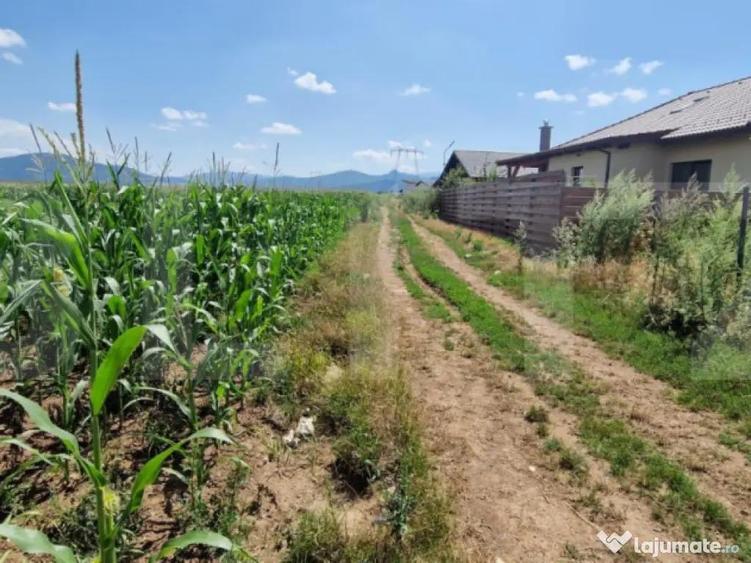 ???? Teren de vanzare, partial intravilan Izvor, Tarlu - 1