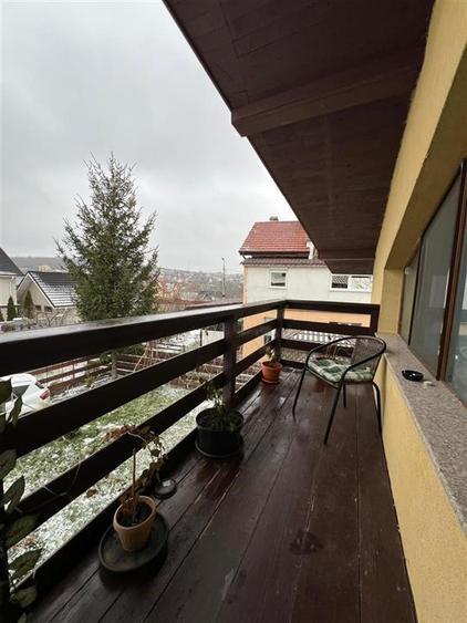 Casa Bucium - Plopii Fara Sot - 19