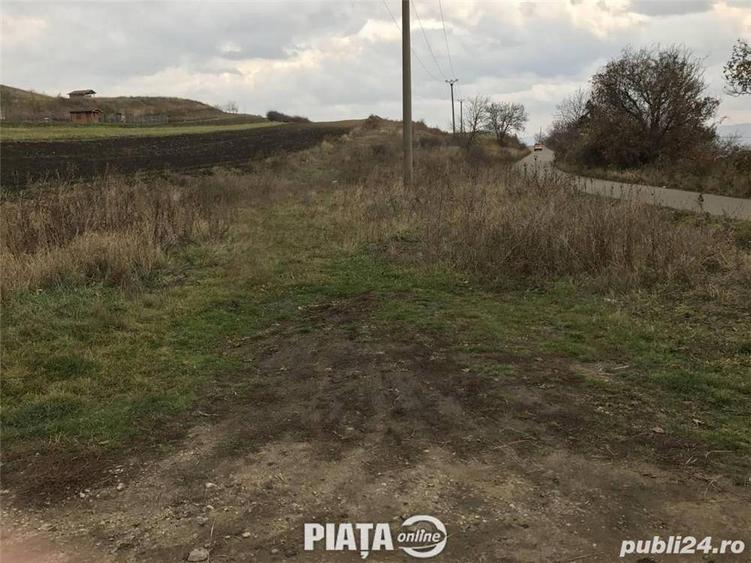 Teren extravilan - 3