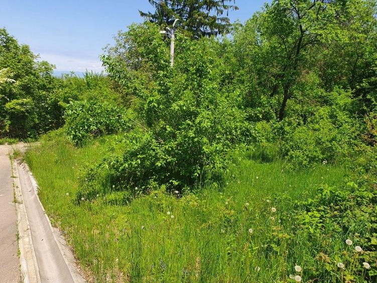 TEREN DE VANZARE - 2