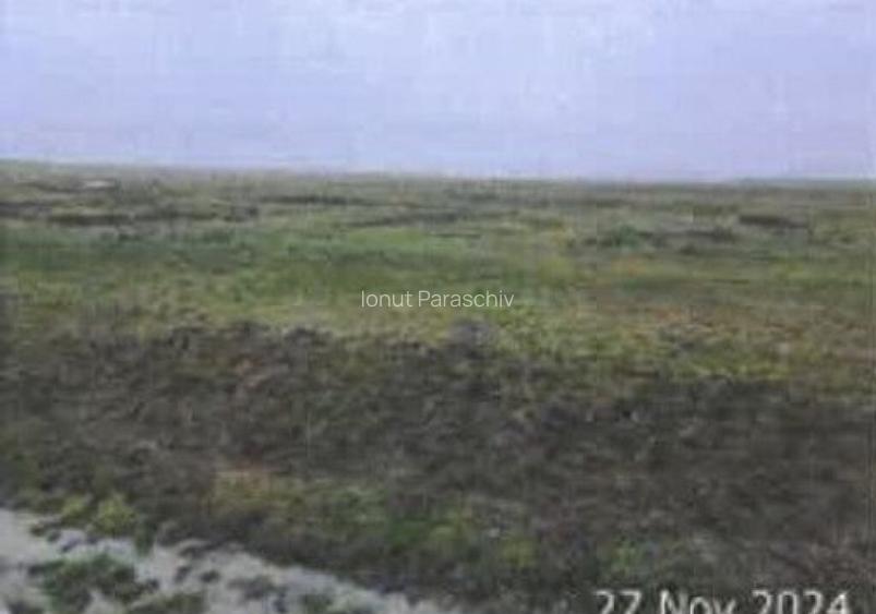 Teren pasune Luciu, cota parte 10000/407492 ; ID: R2766691