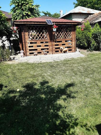 Casa de vanzare com.Seaca Teleorman - 3