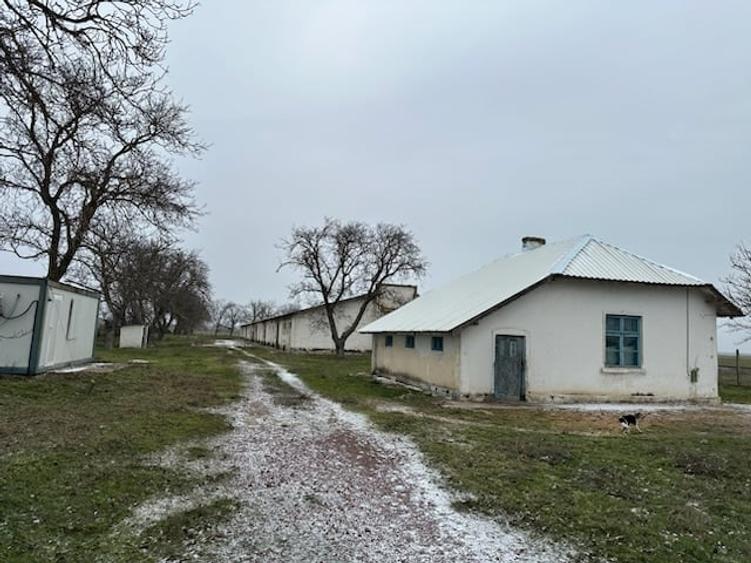 DEPOZIT CEREALE - CEAMURLIA DE JOS/STATIA CFR TVA INCLUS - 3