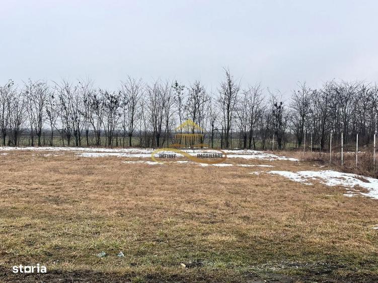 Teren de vanzare Siretu Saucesti Bacau - 2