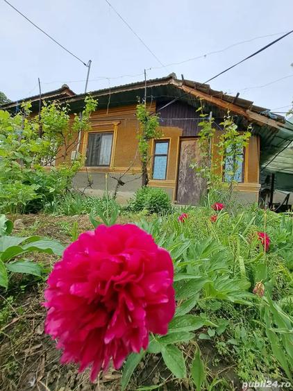 casa, com. Ileana, Calara?i - 5