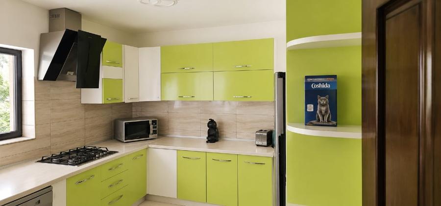 Casa individuala, 7 camere, 5 bai, 5 parcari,curte, rooftop- Europa - 15