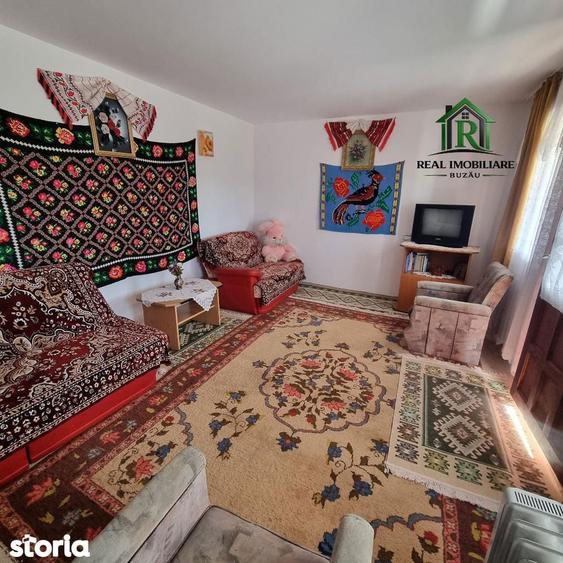 Casa de vacanta Vernesti- Niscov - la padure ! - 11