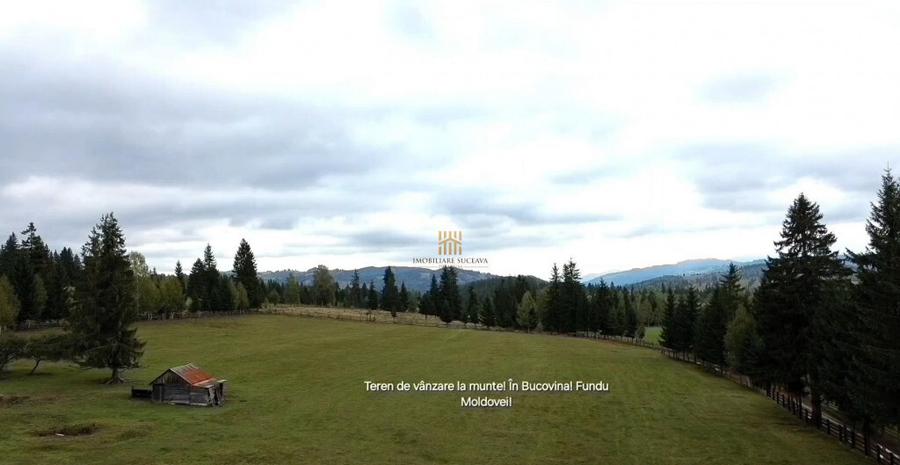 Teren 2804 mp, la munte! In Bucovina Fundu Moldovei! - 9