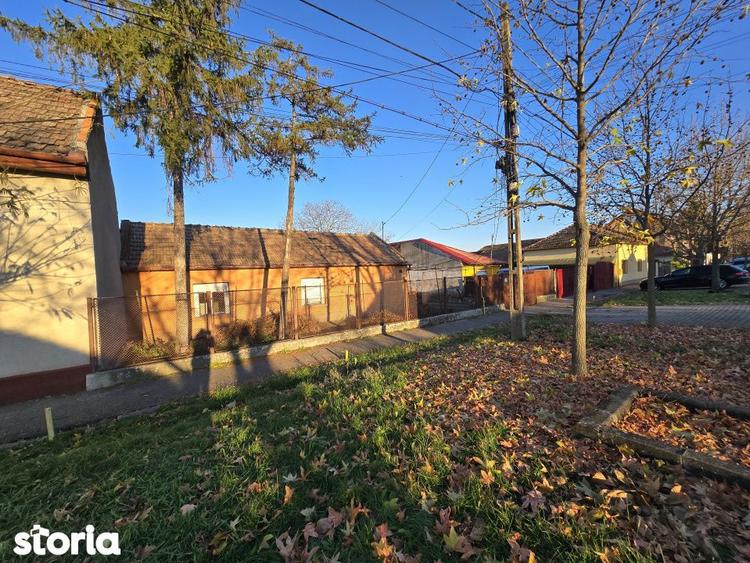 Fratelia- Casa si teren- 1438 mp - 17