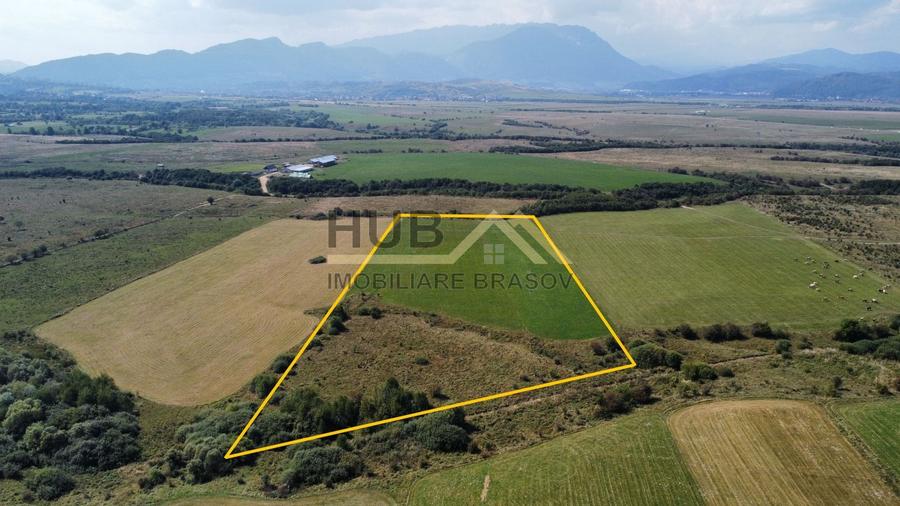 Teren Construcții extravilan de 29300 mp, în Pănicel