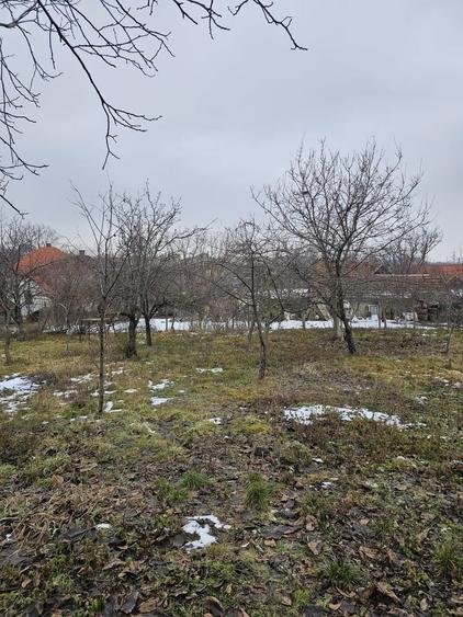 Teren intravilan 837 mp Calea Bihorului Oradea - 3