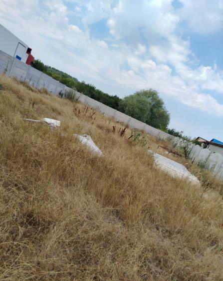 Teren intravilan Popoveni, 500 mp, 33,76 front stradal - 2