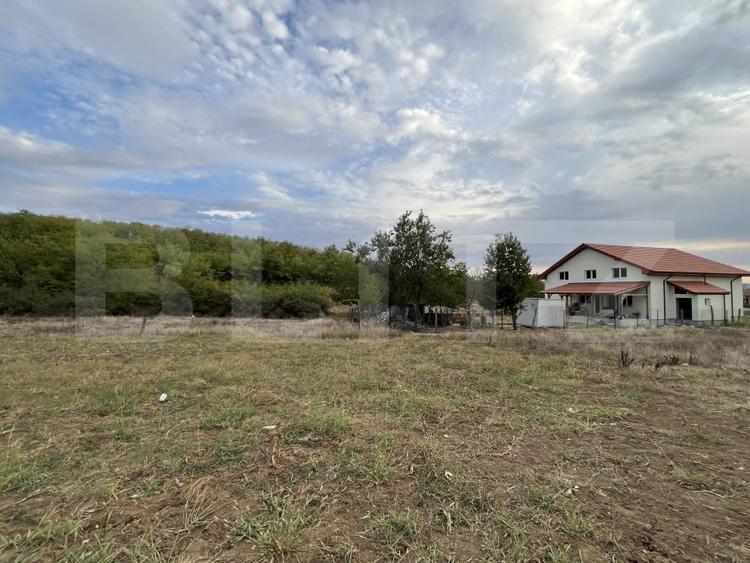 Teren in Filiasi 1000 mp / 30 ml front, toate utilitatile - 5