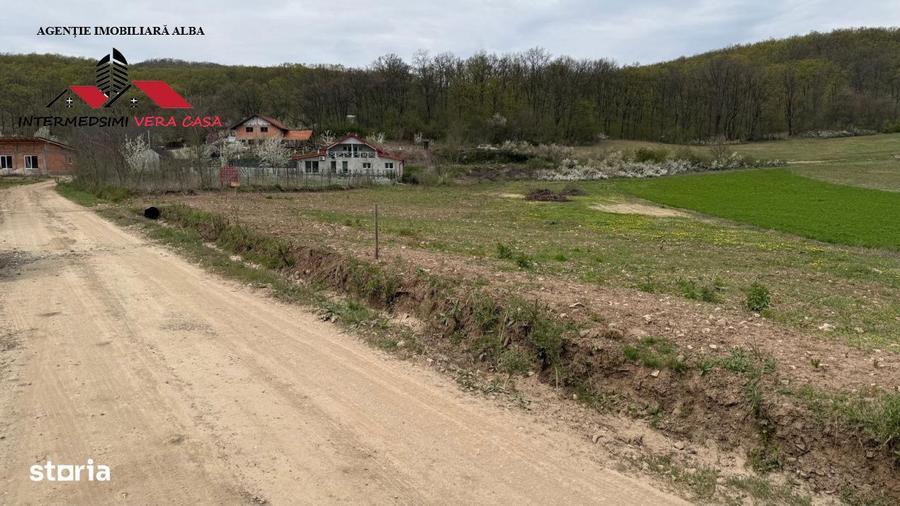 Teren intravilan 833 mp de vanzare in Ampoita Jud Alba - 5