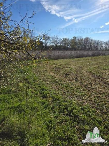 Teren intravilan, 3751mp oportunitate de investitie, cu utilitati, comuna Daia, - 3