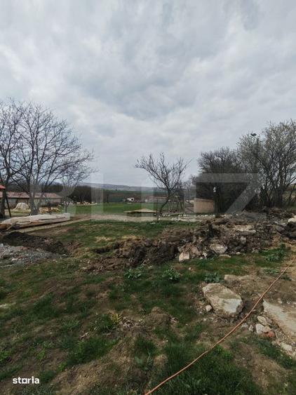 Teren intravilan 3000 mp, in Sandulesti - 1