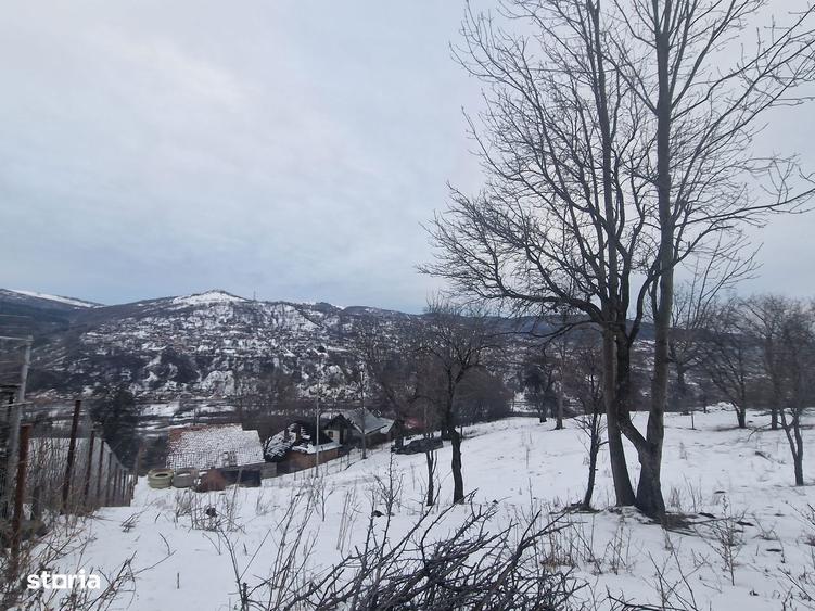 Casa batraneasca + teren 12000 mp cu toate utilita?ile racordate - 6