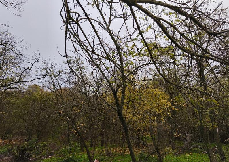 Casa caramida Teslui DJ - 4