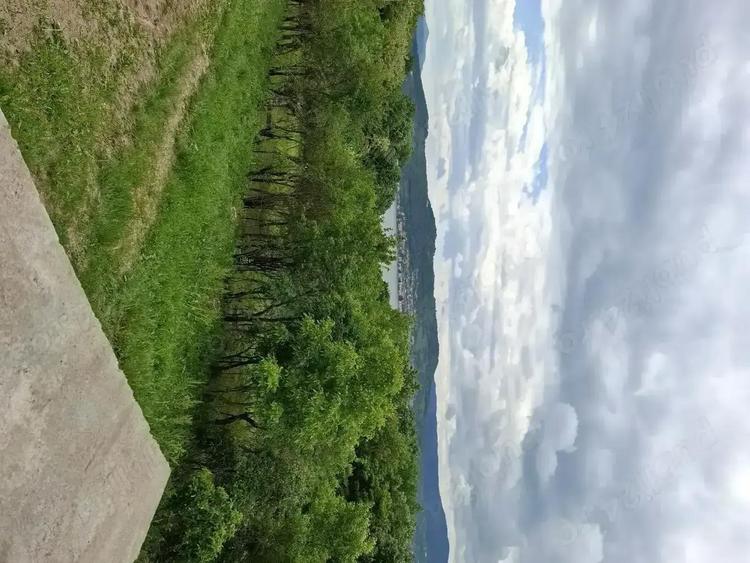 Superba casa cu teren ,garaj !! - 4