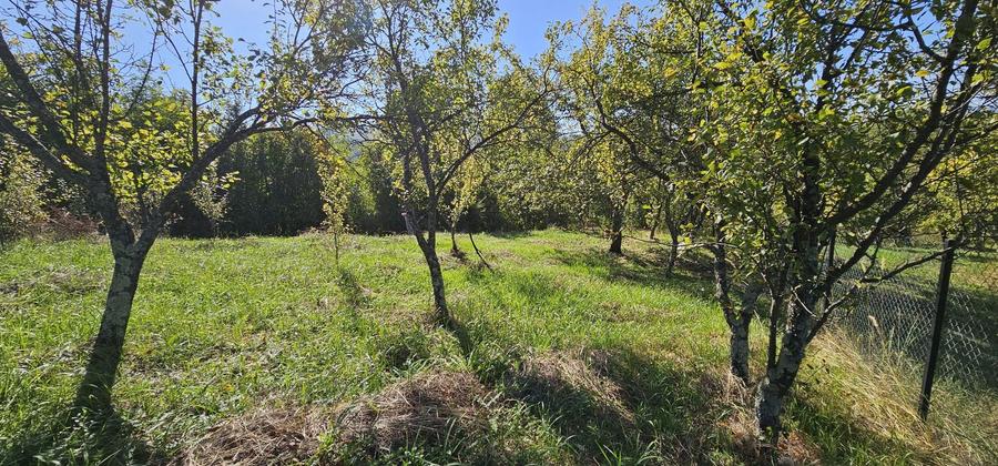 Teren de vanzare In Berislavesti - Calimanesti 4000mp - 1