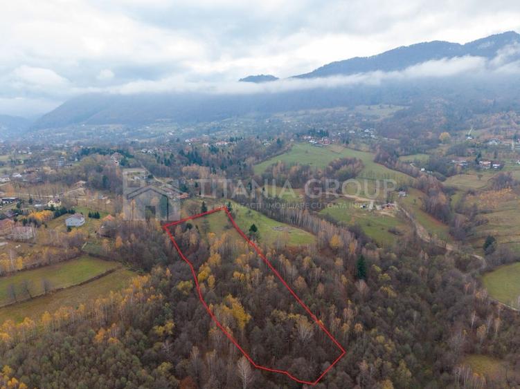 Teren intravilan, cu PUZ, Bran Tohanita,  SE ACCEPTĂ ȘI SCHIMB - 13