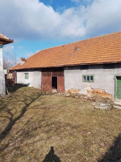 Persoana fizica vand casa in Lelese, jud. Hunedoara - 3