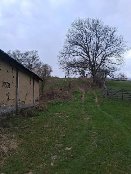 Casă cu Teren 4000 Mp în Năruja