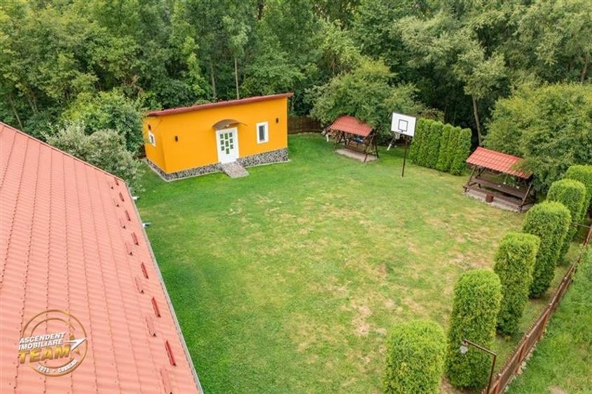 FILM&3D! Doua case cu:piscina,foisor,arbori decorativi,1.700mp teren,Lutoasa,Cov - 20