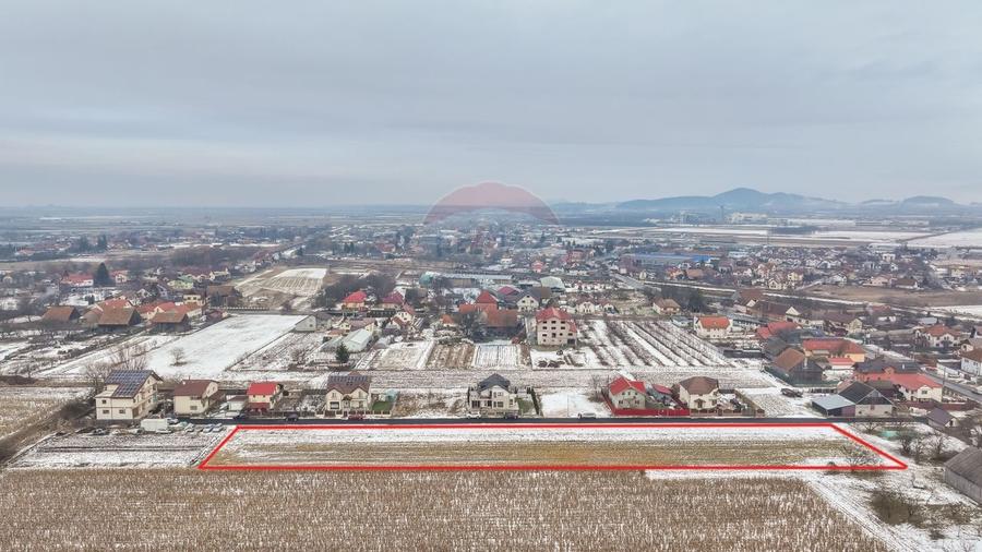 Oportunitate investițională – Teren intravilan 5.646 mp, Stupini - 7