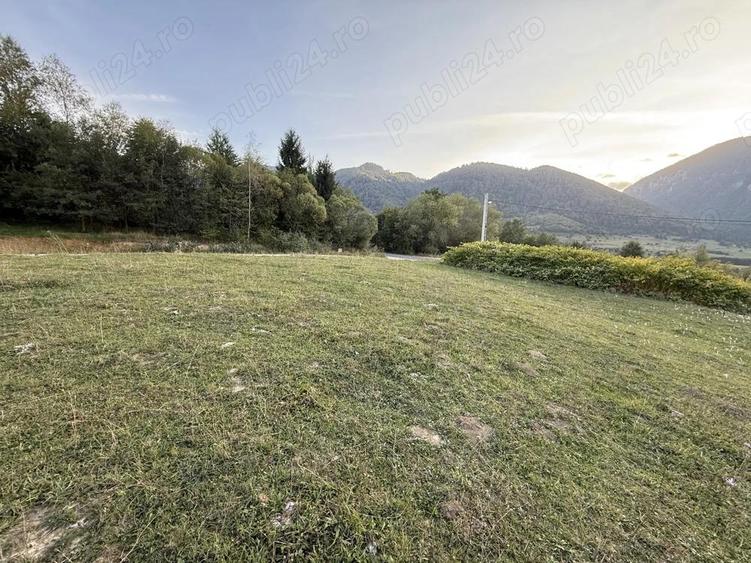 Teren intravilan 500 sau 1000 mp Bran-Tohanita la dum asfaltat - 3