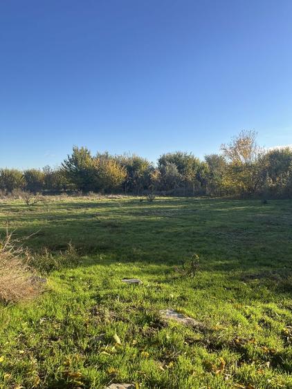 Vand casa Pescareasca pe malul Dunarii, Peceneaga, Tulcea - 7