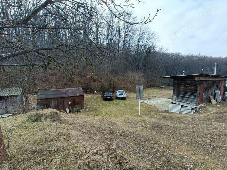 Teren intravilan pentru constructie casa, Faget - 2