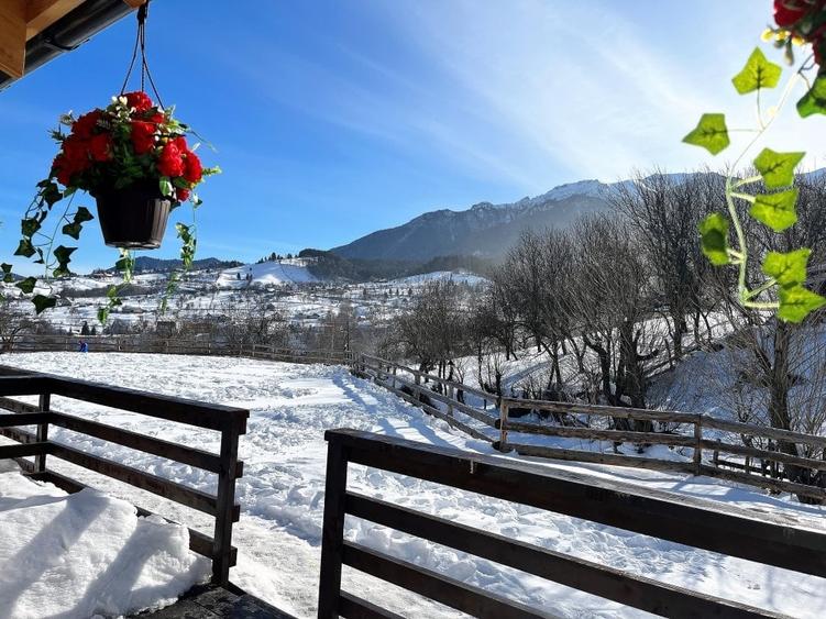 VAND COMPLEX TURISTIC IN BRAN LANGA PARTIA DE SCHI ZANOAGA - 11