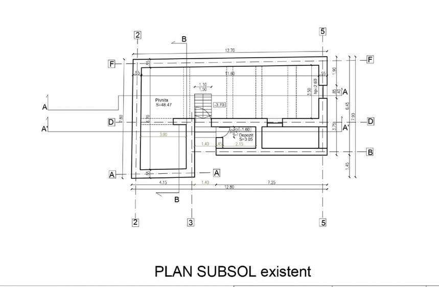 Vila zona Victoriei  - 10