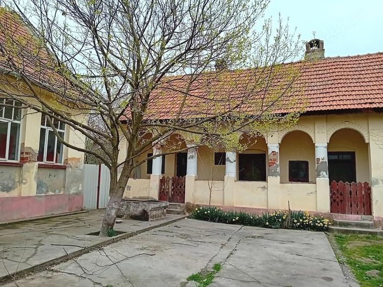 Vand casa cu gradina mare in Hitia? - 4