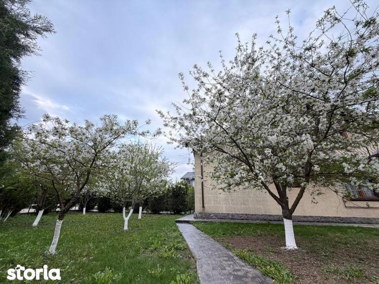 Casa Individuala Piscina Snagov 5 Camere 770 mp teren liber Piscina - 10