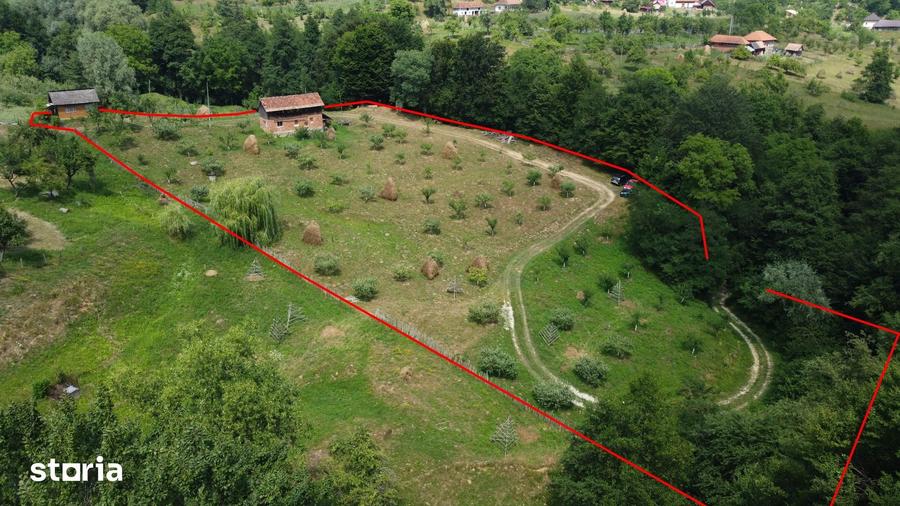 Teren de 6200 mp, în Cicănești