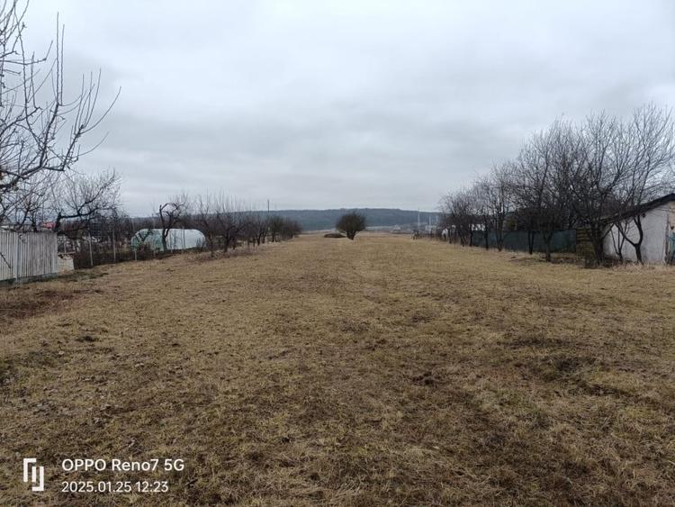 Teren de vanzare -Reghin - Iernuțeni 7000 mp - 1