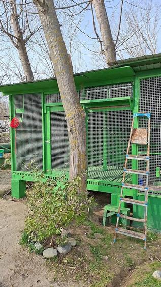 Inchiriez apartament zona 1 mai ?i magnolia circea - 1