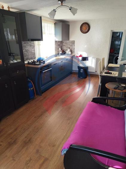 Casa cocheta la 30 minute de Craiova- Cornița Dolj - 2