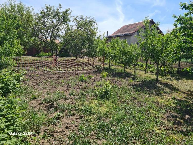 Teren intravilan si casa - 8