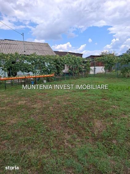 Gospodarie de vanzare Bro?teni | 14 km de Pite?ti | Teren 596 mp. - 11