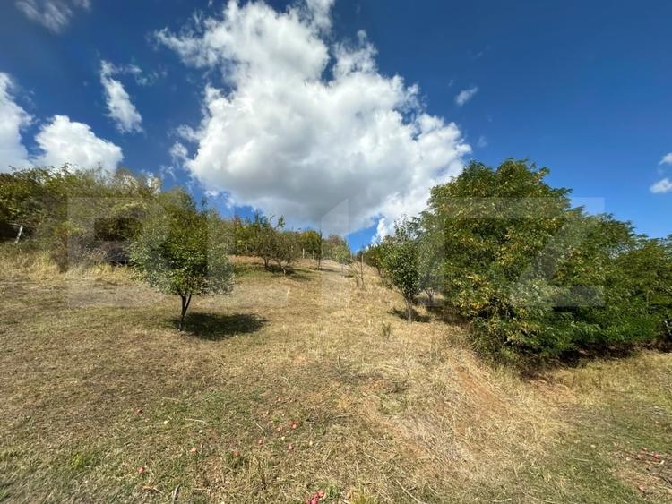 Teren Construcții intravilan de 2700 mp, în Viișoara