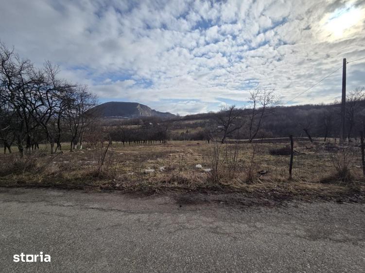 Teren de 3800 mp, în Mirșid