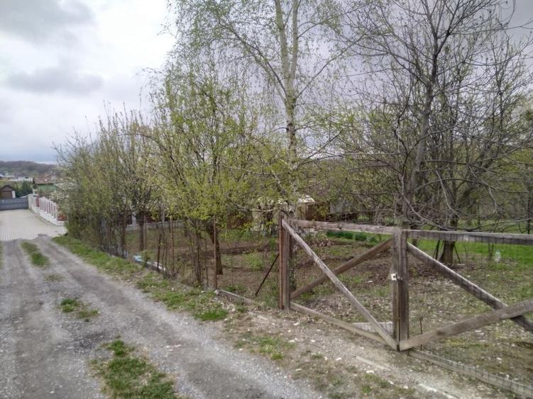 Spațiu comercial, în Sălicea